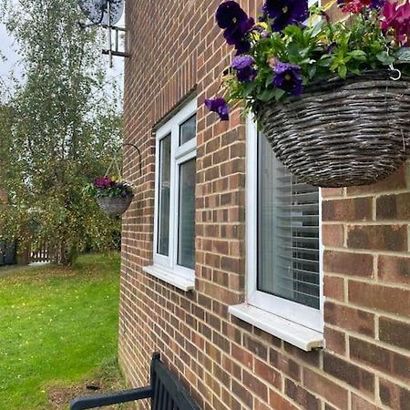 Cosy Studio Apartment Waterlooville Bagian luar foto