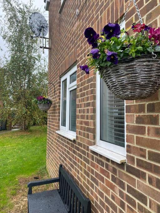 Cosy Studio Apartment Waterlooville Bagian luar foto