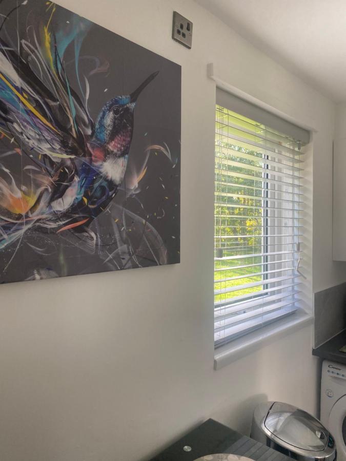 Cosy Studio Apartment Waterlooville Bagian luar foto