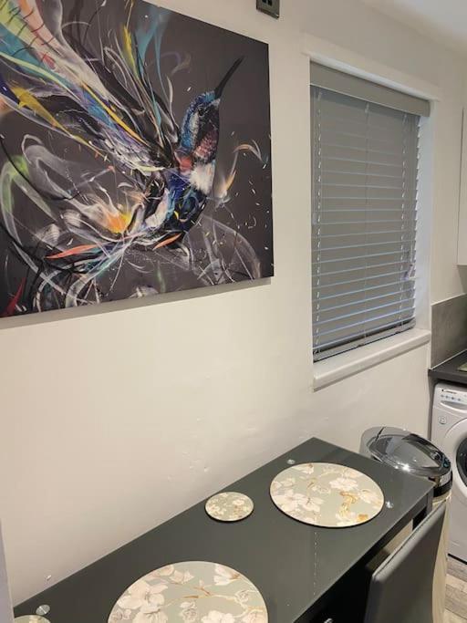 Cosy Studio Apartment Waterlooville Bagian luar foto